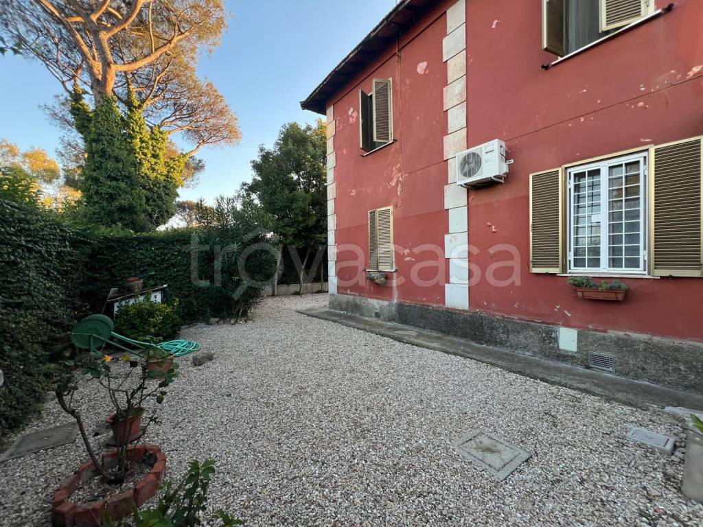 immagine annuncio 11 di 14