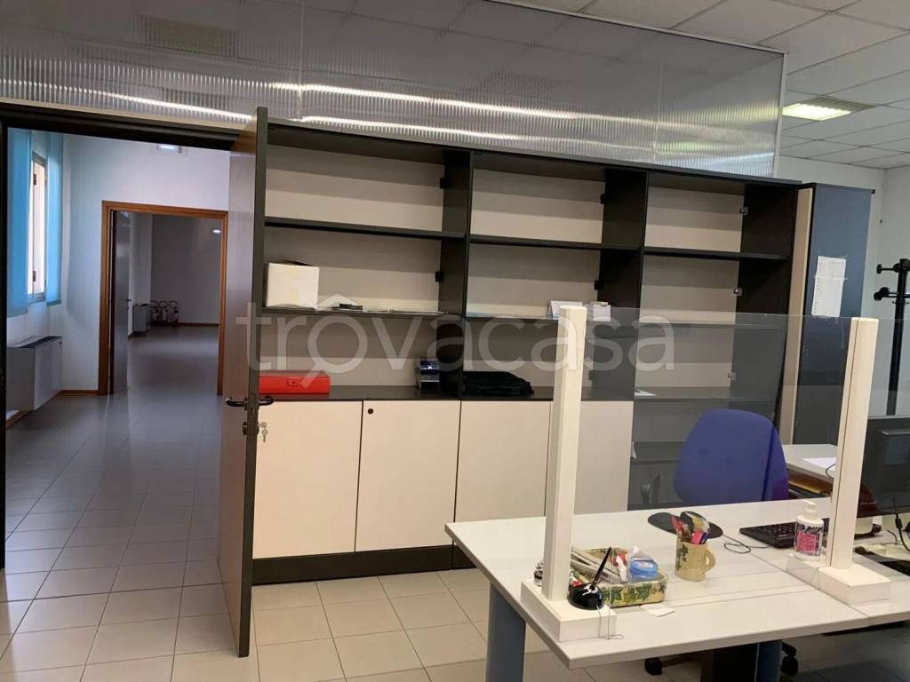 immagine annuncio 7 di 13