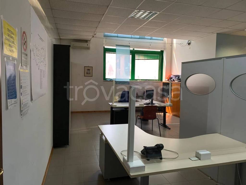 immagine annuncio 8 di 13