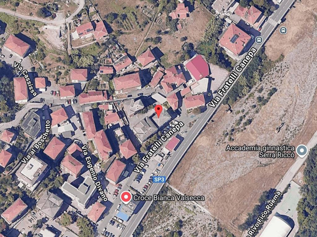 immagine annuncio 1 di 11