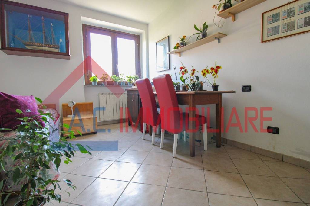 immagine annuncio 11 di 14