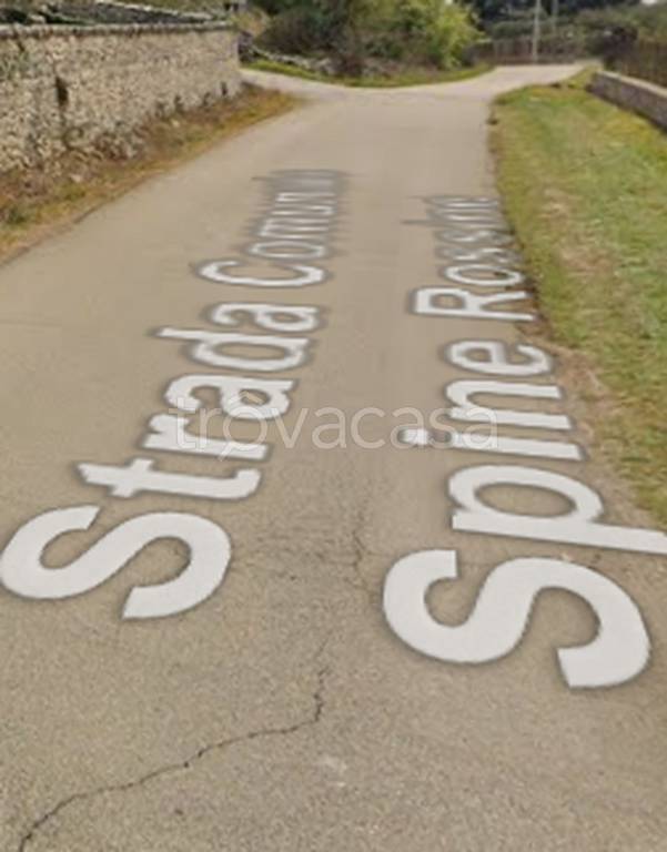 immagine annuncio 4 di 9