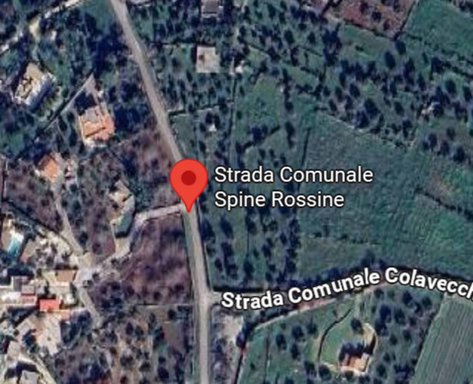 immagine annuncio 6 di 9