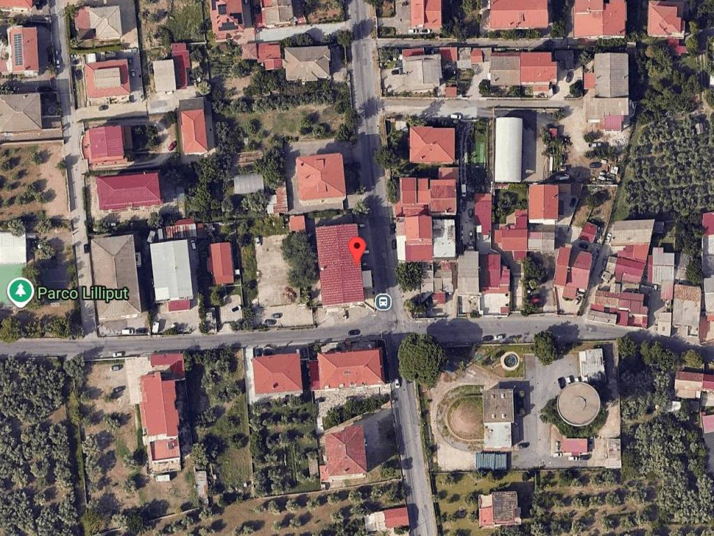 immagine annuncio 1 di 11