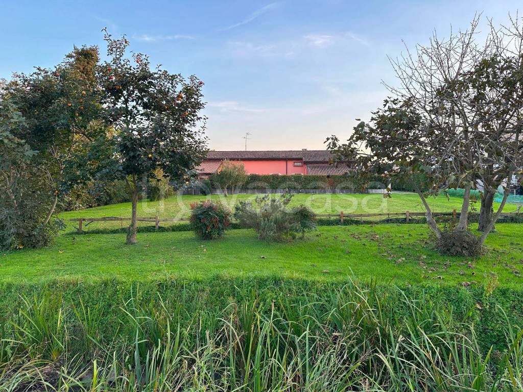 immagine annuncio 2 di 7