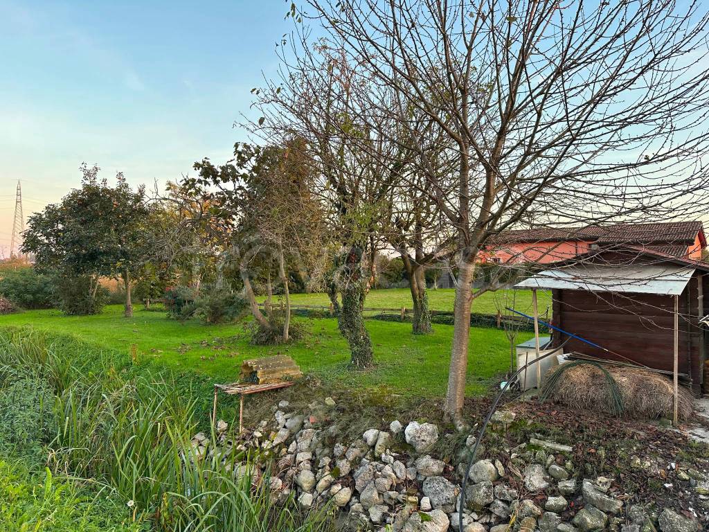 immagine annuncio 3 di 7