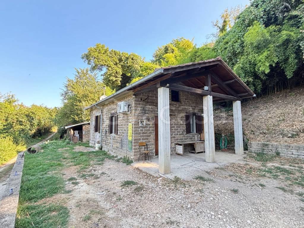 immagine annuncio 2 di 13