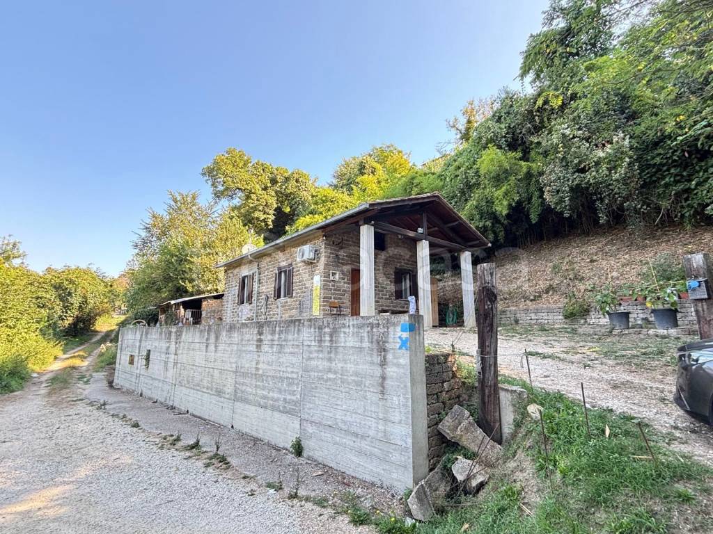 immagine annuncio 9 di 13