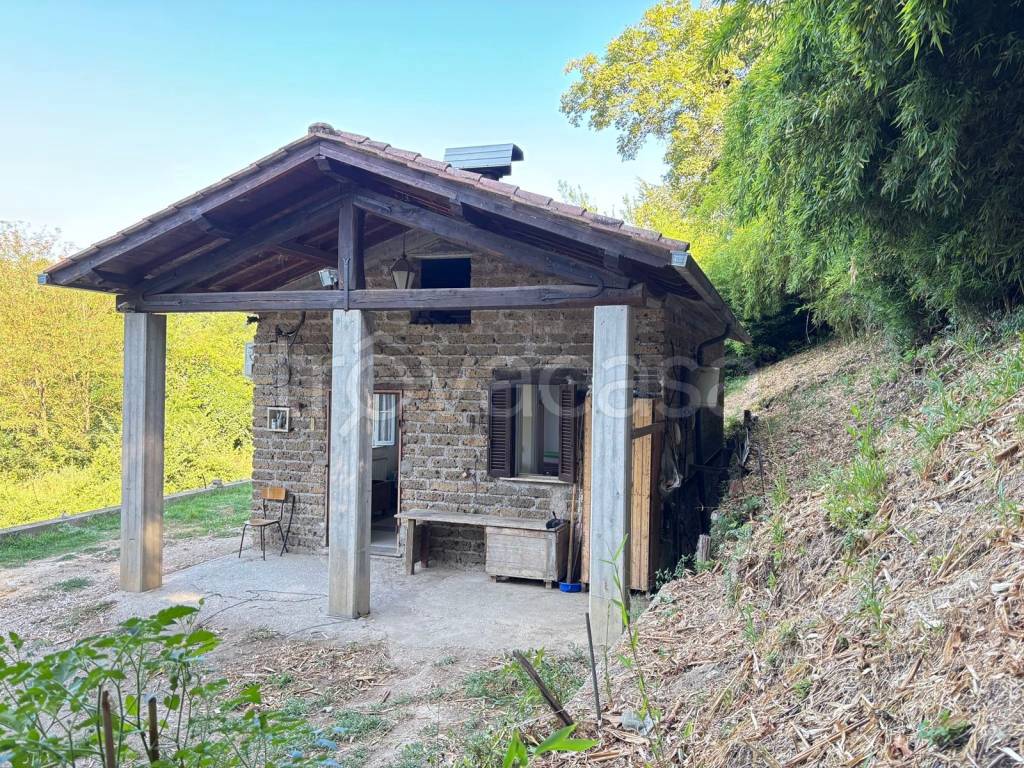 immagine annuncio 11 di 13