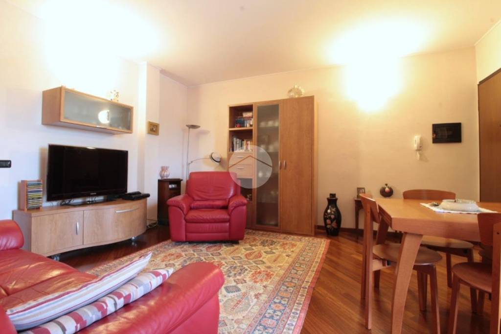 immagine annuncio 1 di 14