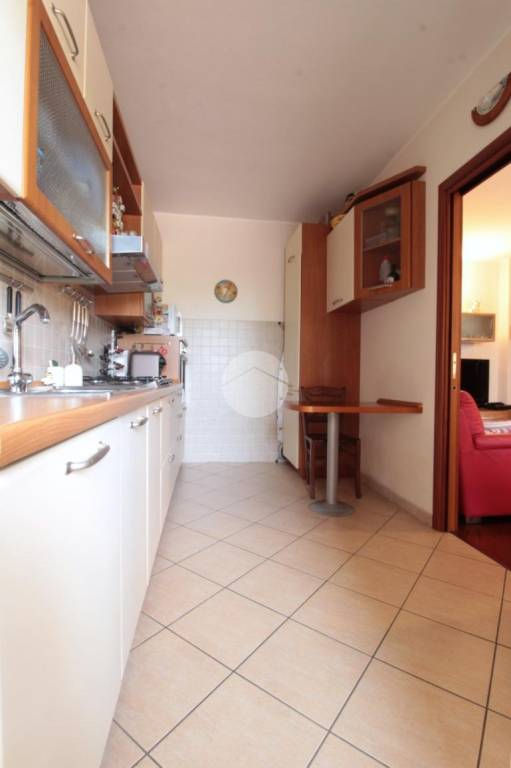 immagine annuncio 5 di 14