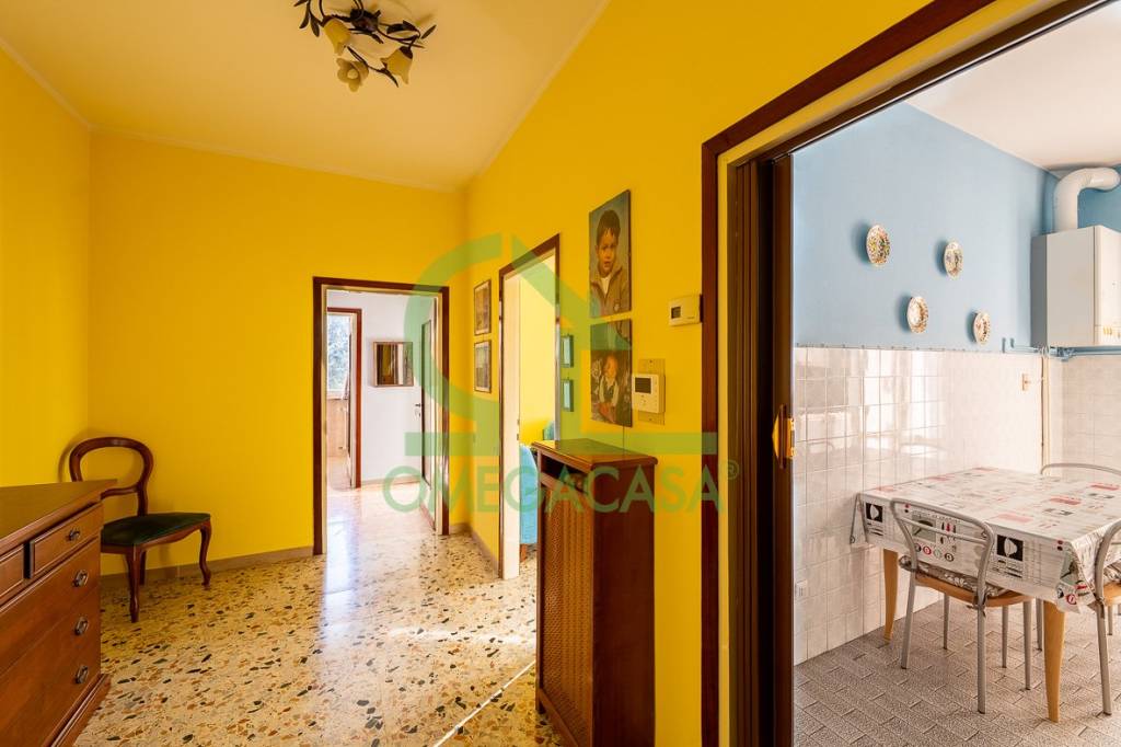 immagine annuncio 1 di 9