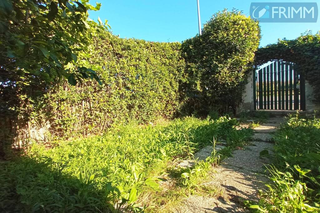 immagine annuncio 2 di 13