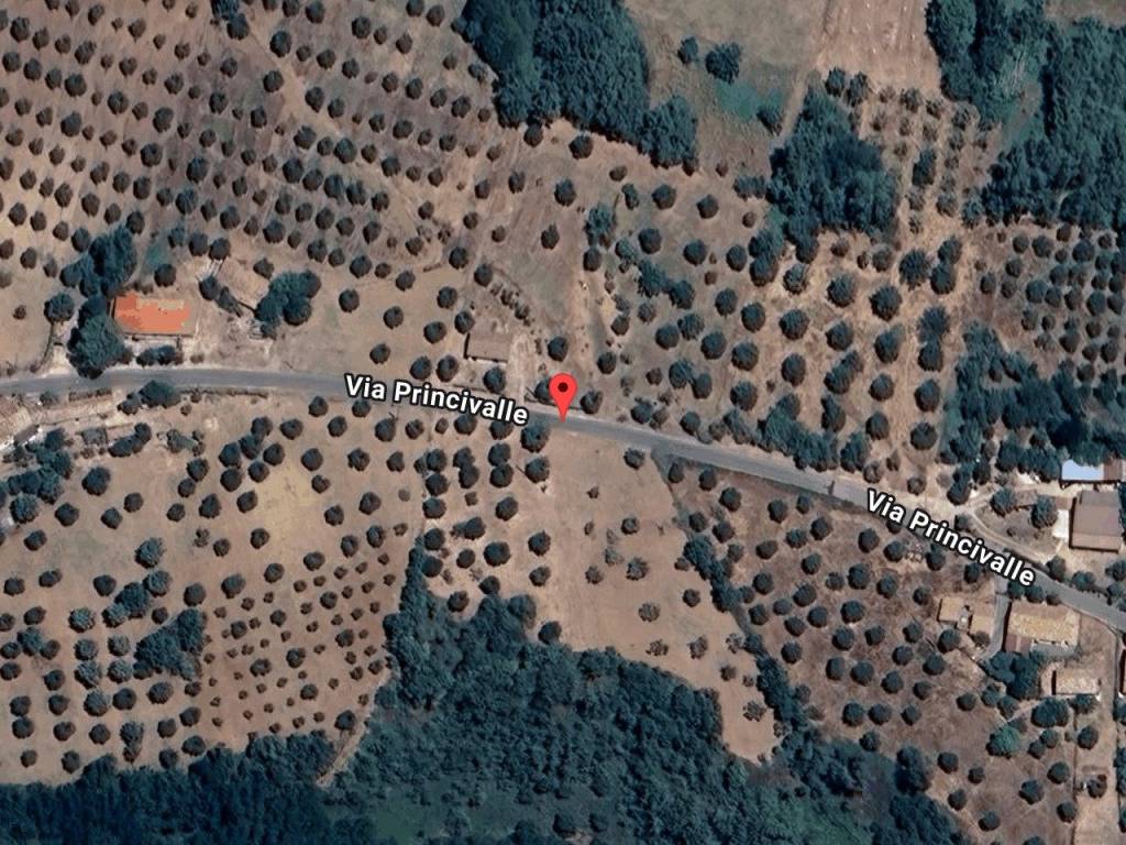 immagine annuncio 1 di 11