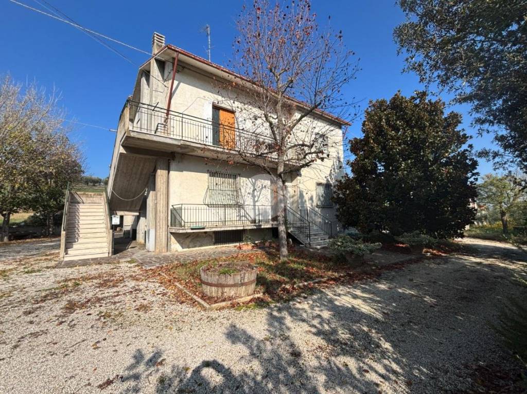 immagine annuncio 1 di 14