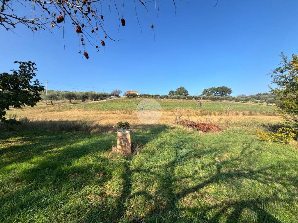 immagine annuncio 12 di 14