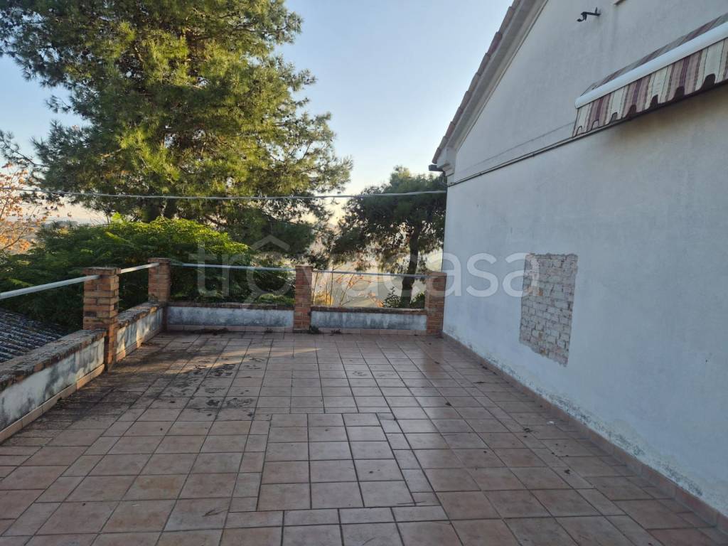 immagine annuncio 7 di 11