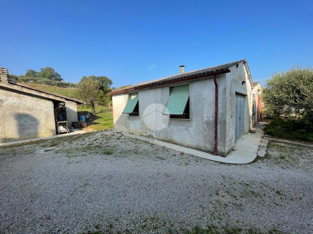 immagine annuncio 13 di 14