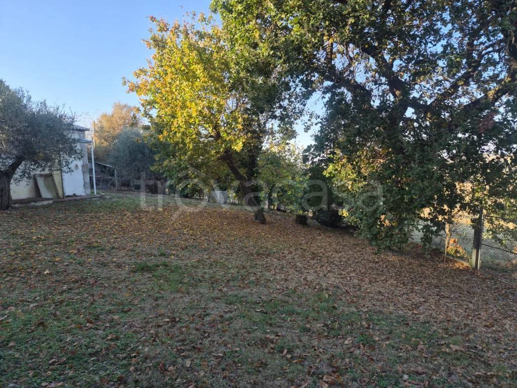 immagine annuncio 9 di 11