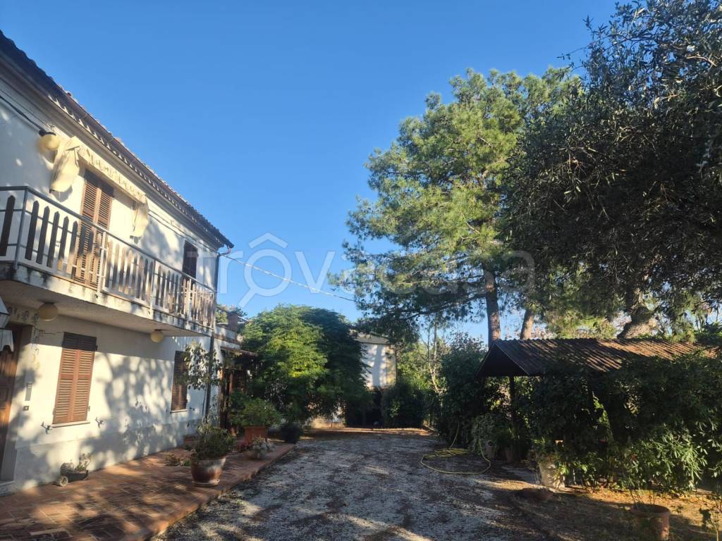 immagine annuncio 10 di 11