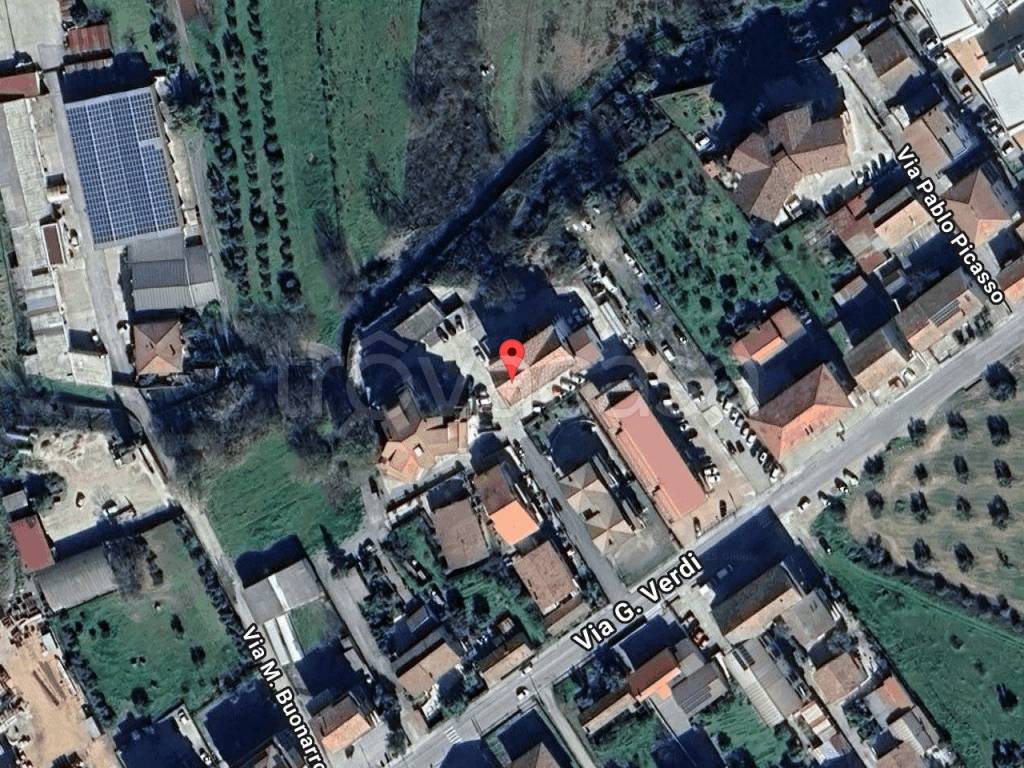 immagine annuncio 1 di 11