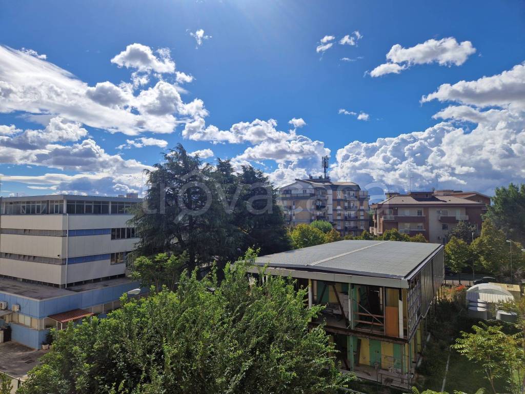 immagine annuncio 12 di 13