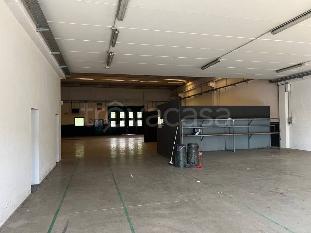 immagine annuncio 3 di 12