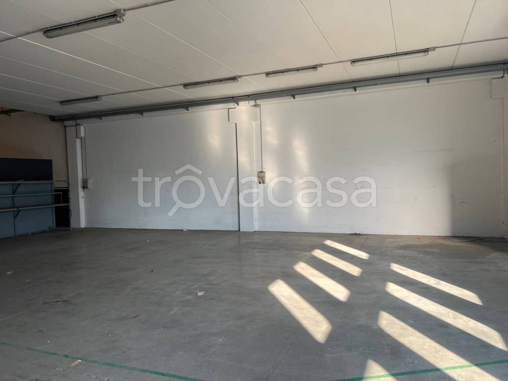 immagine annuncio 5 di 12