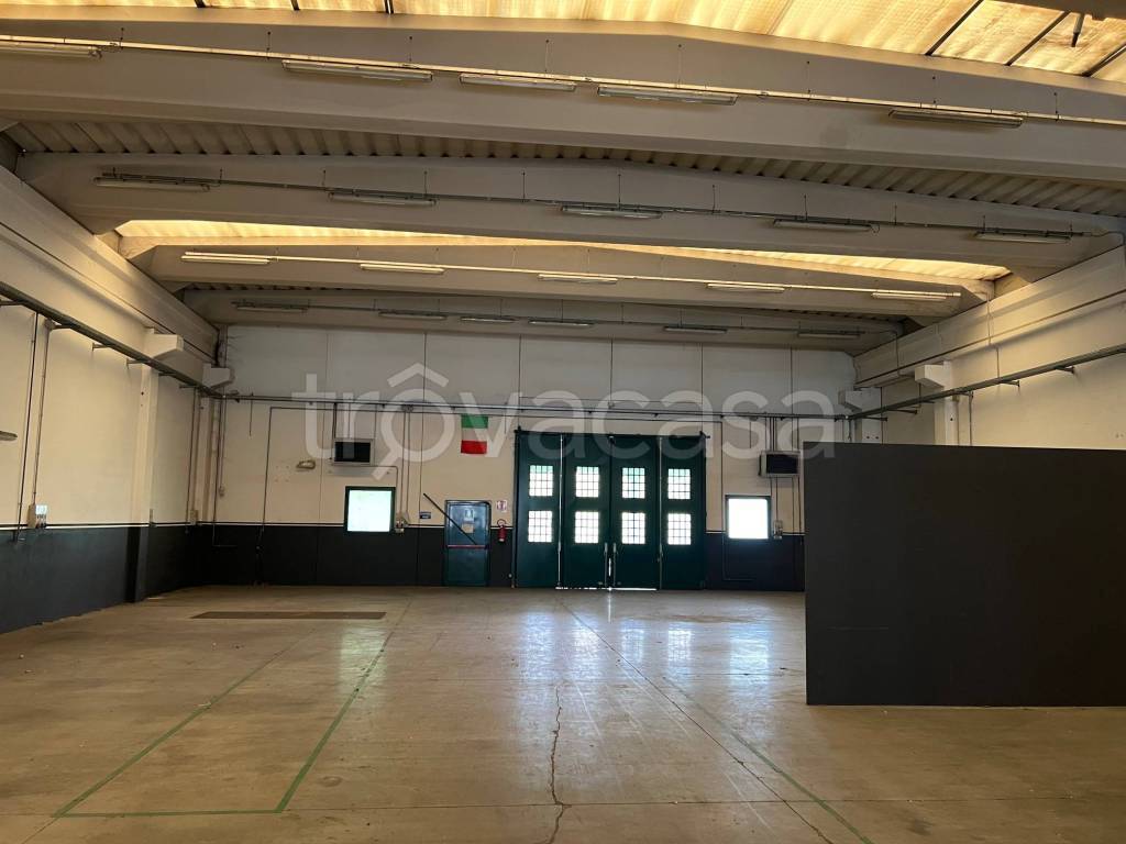 immagine annuncio 7 di 12