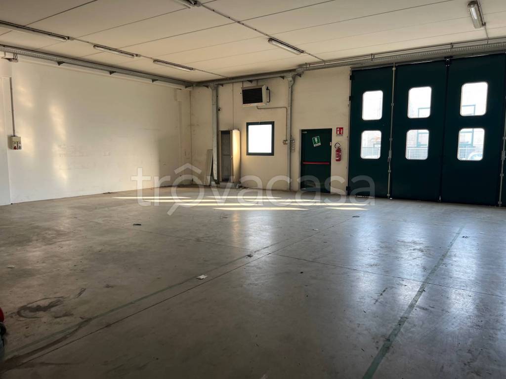 immagine annuncio 8 di 12