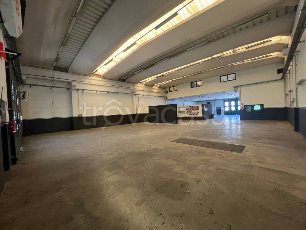 immagine annuncio 1 di 12