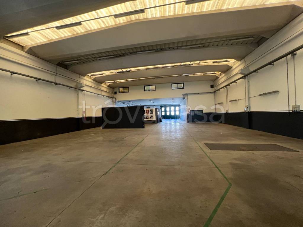 immagine annuncio 4 di 12