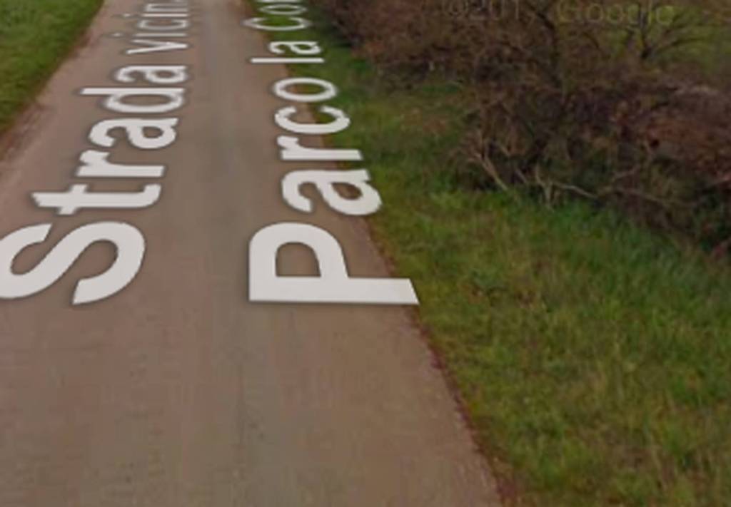 immagine annuncio 9 di 11