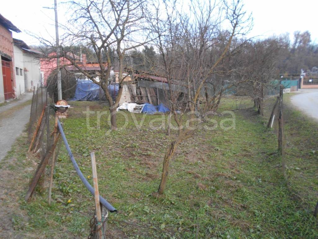 immagine annuncio 10 di 11