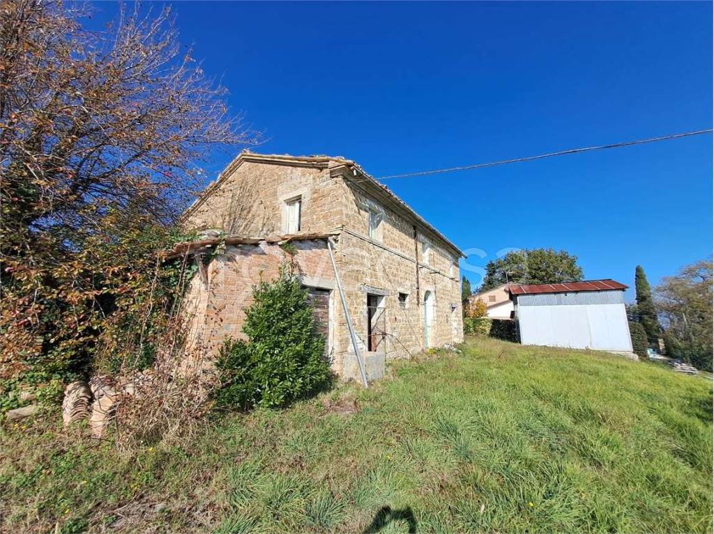 immagine annuncio 2 di 13