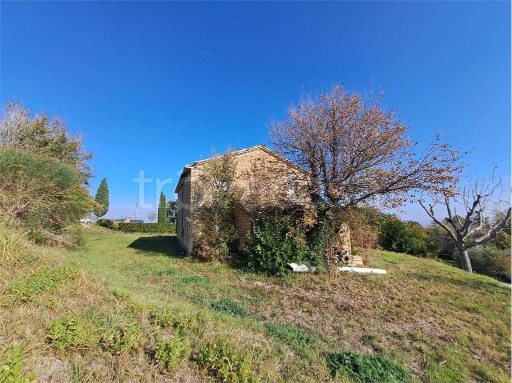 immagine annuncio 7 di 13