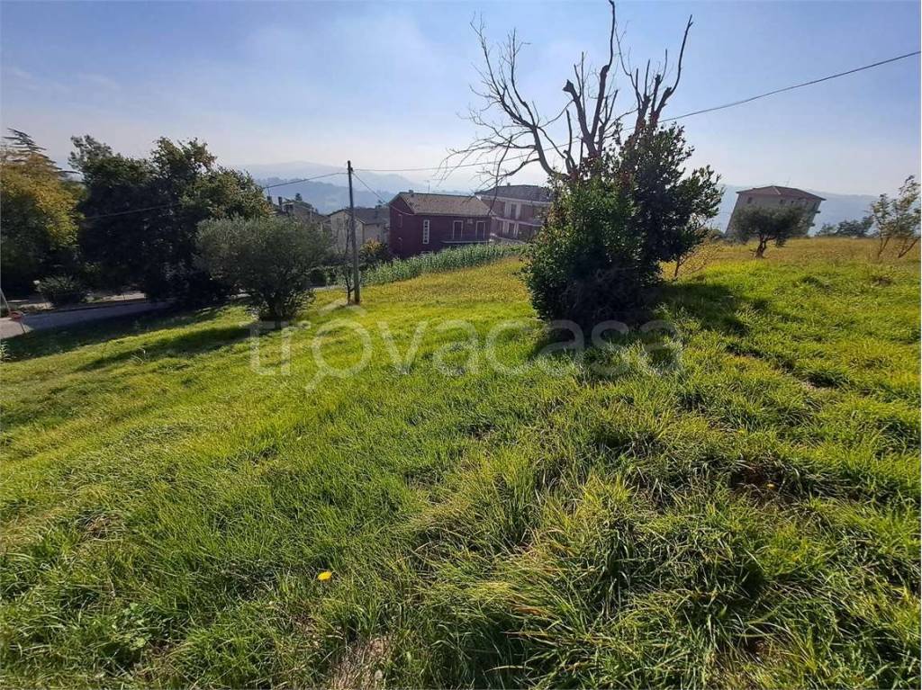 immagine annuncio 10 di 13