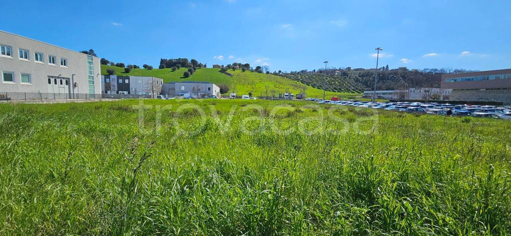 immagine annuncio 3 di 12