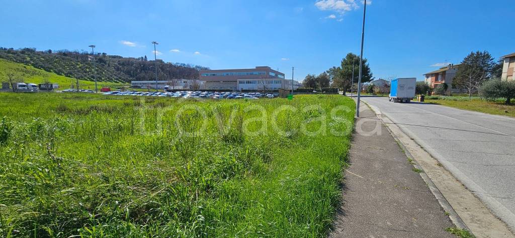 immagine annuncio 4 di 12