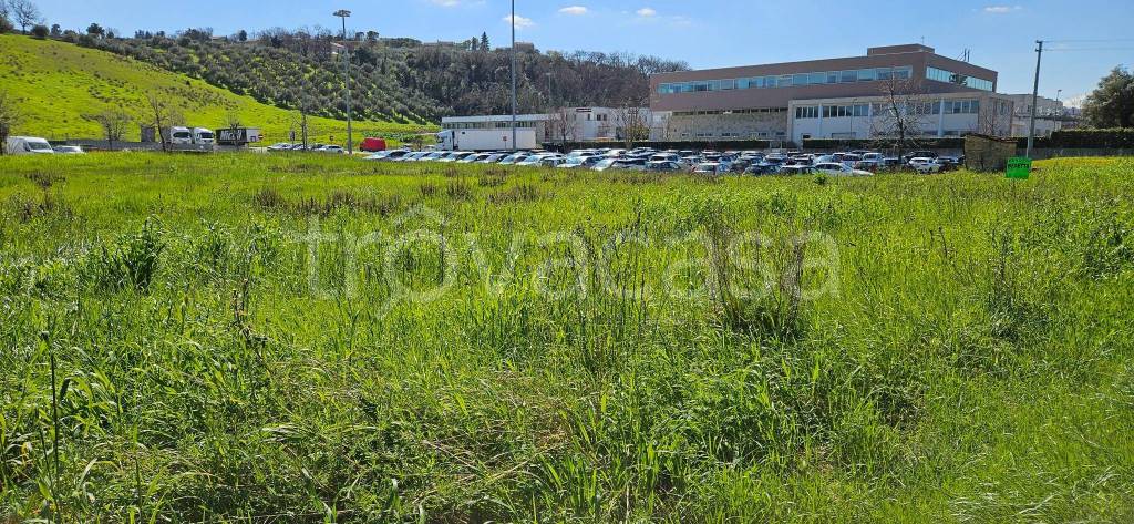 immagine annuncio 5 di 12