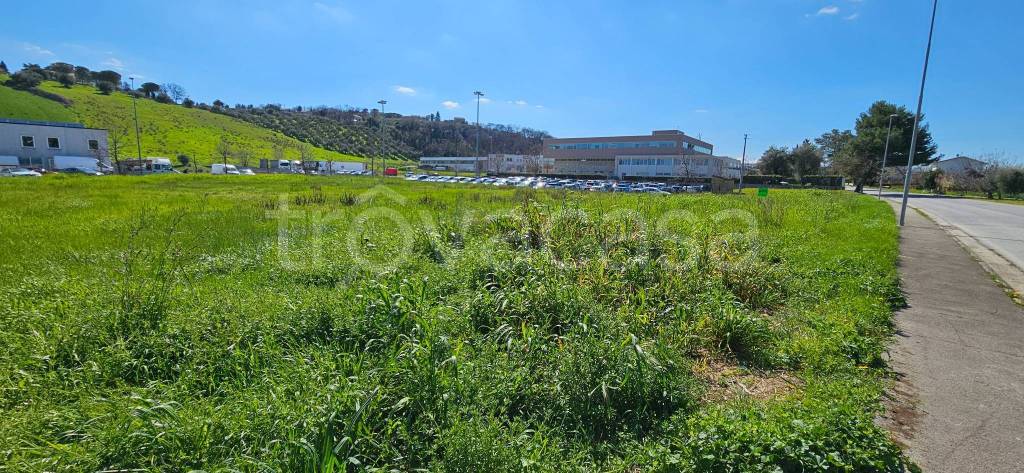 immagine annuncio 6 di 12