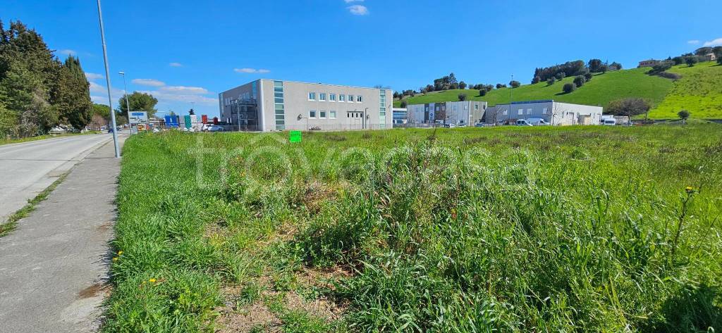 immagine annuncio 7 di 12