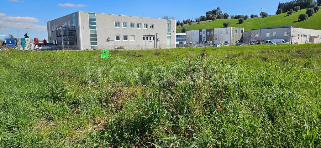 immagine annuncio 8 di 12