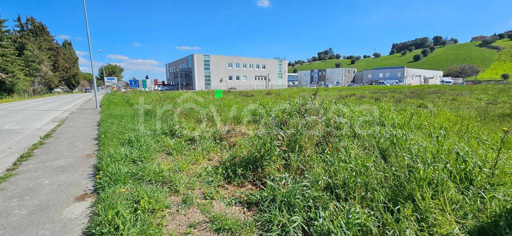 immagine annuncio 9 di 12