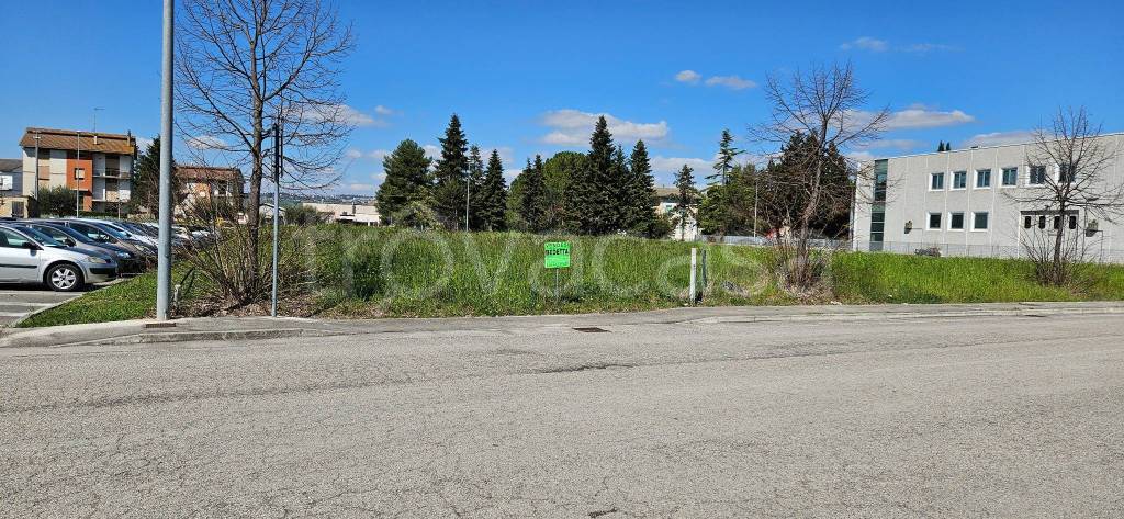 immagine annuncio 10 di 12