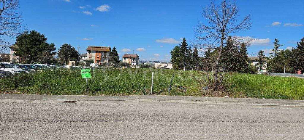 immagine annuncio 11 di 12