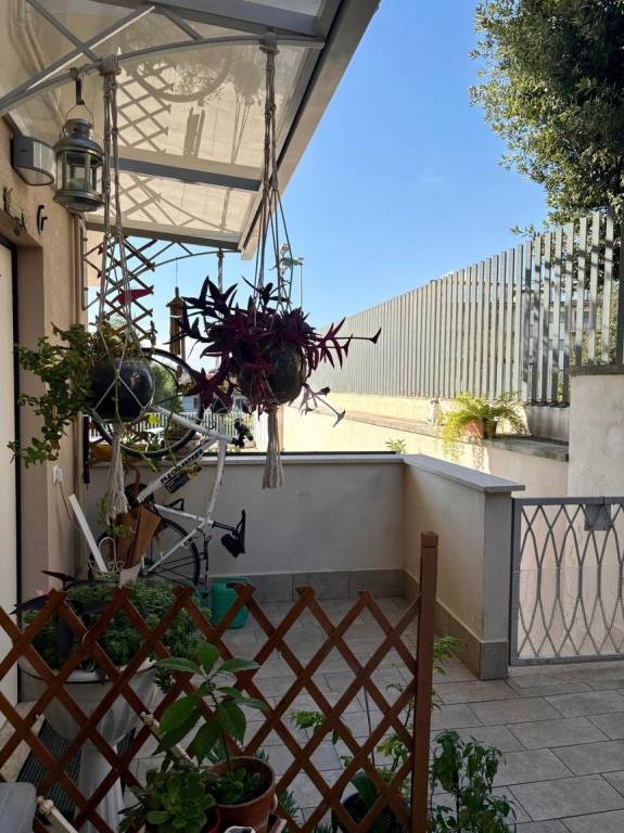 immagine annuncio 9 di 15