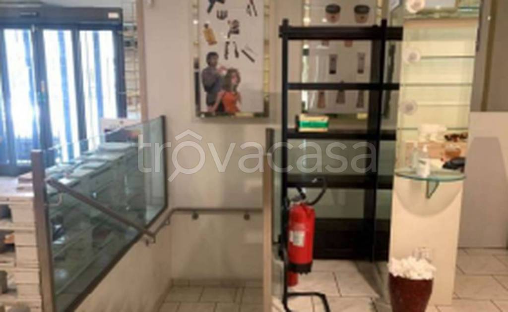 immagine annuncio 5 di 12