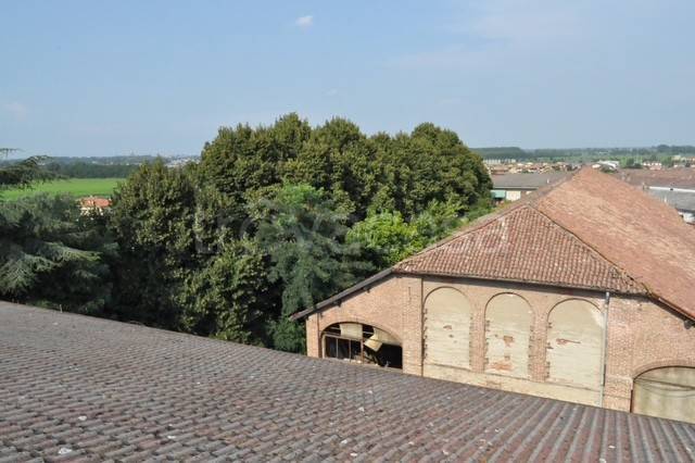 immagine annuncio 6 di 8