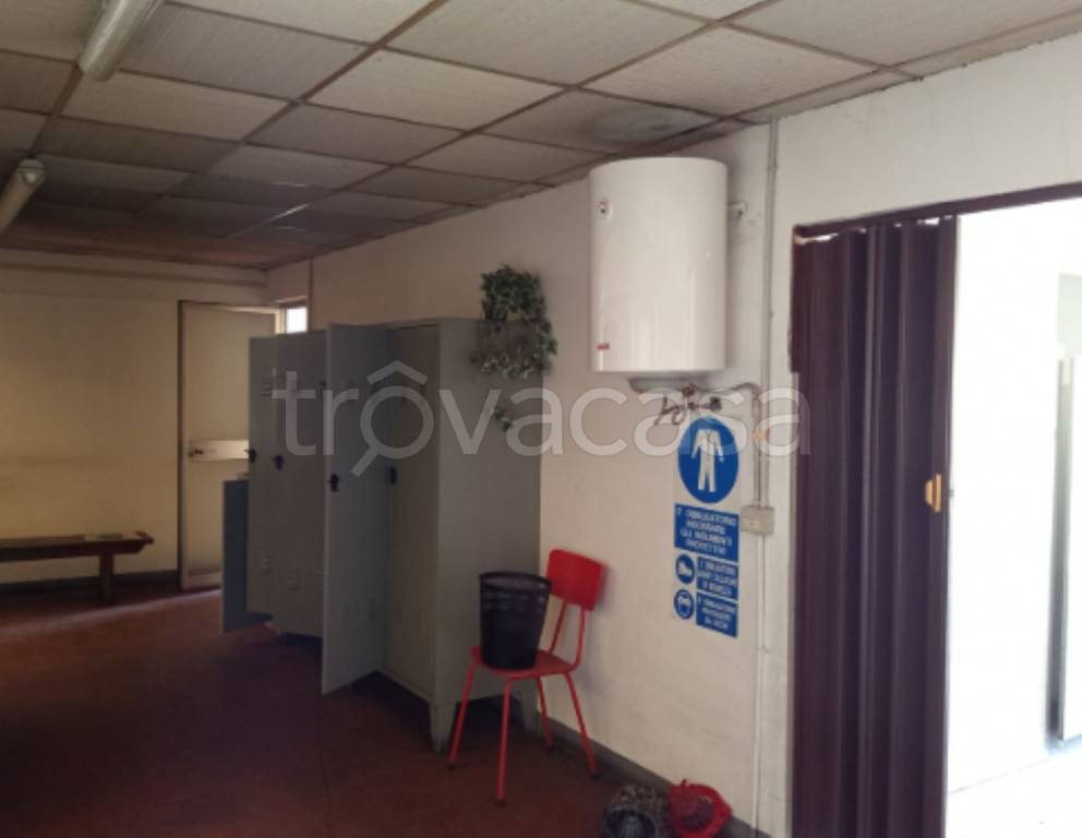 immagine annuncio 6 di 10